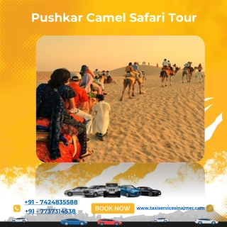 Pushkar Camel Safari Tour - WhatsApp & Call Now 7424835588