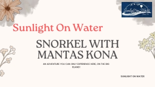 Book Online Snorkel with Mantas Kona