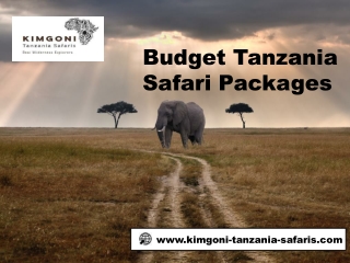 Budget Tanzania Safari Packages