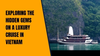 Exploring the Hidden Gems on a Luxury Cruise in Vietnam