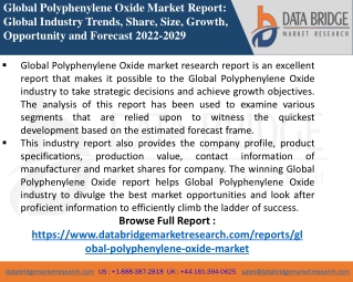 Polyphenylene Oxide Market-Chemical Material