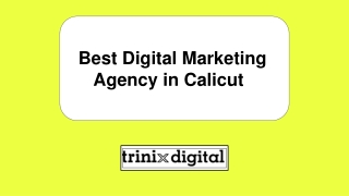 Best Digital Marketing Agency in Calicut