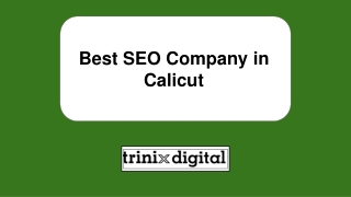 Best SEO Company in Calicut