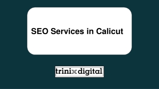 High Perfoming SEO Services in Calicut