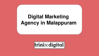 Digital Marketing Agency in Malappuram