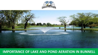 Importance of Lake and Pond Aeration in Bunnell