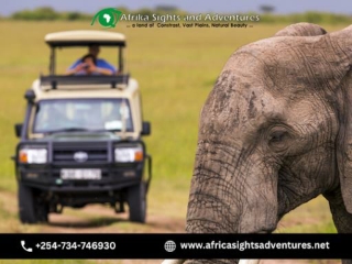 Enjoying the Best Wildlife Adventure Activities While In Kenya