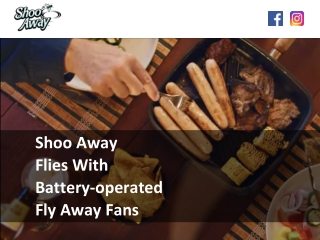 Shoo Away Flies With Battery-operated Fly Away Fans