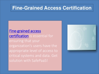 Fine-Grained Access Certification