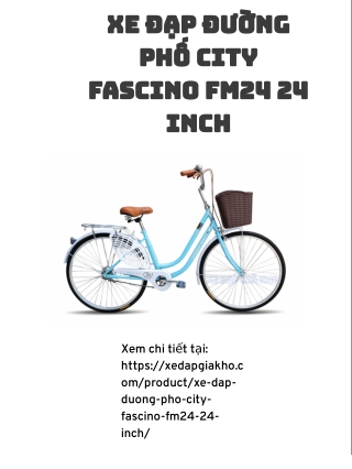 Xe Đạp Đường Phố City Fascino FM24 24 Inch