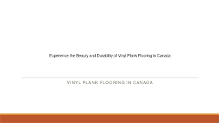 Experience the Beauty and Durability of Vinyl Plank