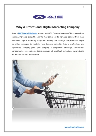 Why A Professional Digital Marketing Company