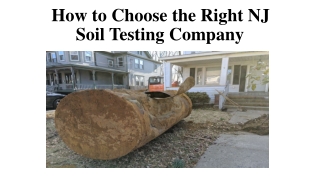 How to Choose the Right NJ Soil