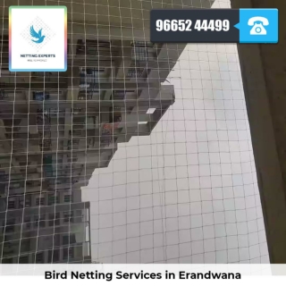 Bird Netting Services in Erandwana  - Netting Experts