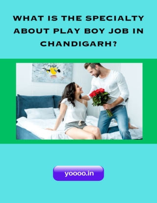 What is the specialty about play boy job in chandigarh