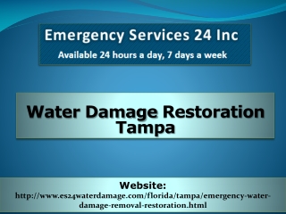 Water Damage Restoration Tampa