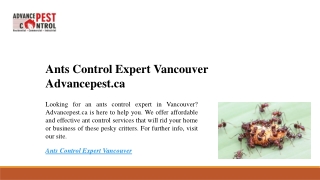 Ants Control Expert Vancouver  Advancepest.ca