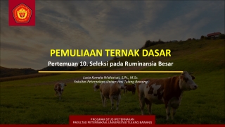 Seleksi pada Ruminansia Besar - Materi Pemuliaan Ternak Dasar