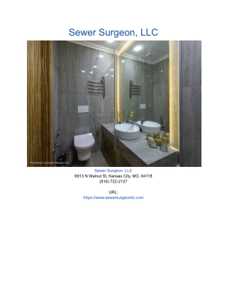 Sewer Surgeon, LLC (1)