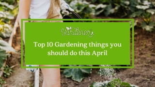 Top 10 Gardening things you should do this April