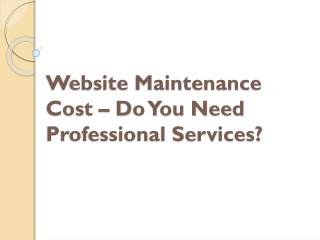 Website Maintenance Cost – Do You Need Professional Services?