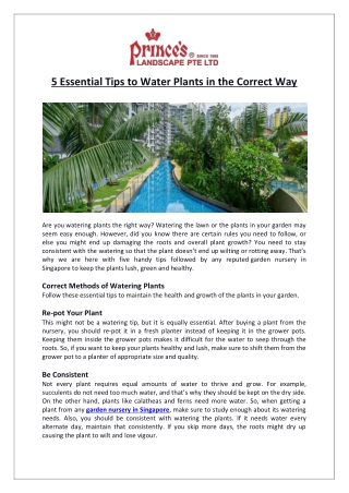 Prince’s Landscape Pte Ltd- 5 Essential Tips to Water Plants in the Correct Way