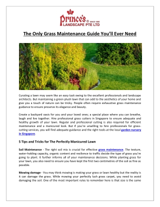 The Only Grass Maintenance Guide You’ll Ever Need - Prince’s Landscape Pte Ltd