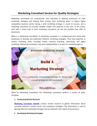 Marketing Consultant Service For Quality Strategies