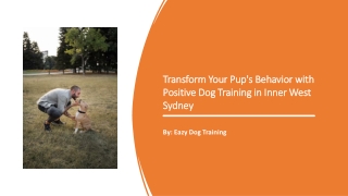 Positive Dog Training Inner West Sydney