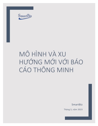 SmartBiz_ Báo cáo thông minh trong quản lý Doanh nghiệp