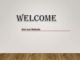 Not Just Website