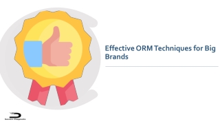 Effective ORM Techniques for Big Brands 