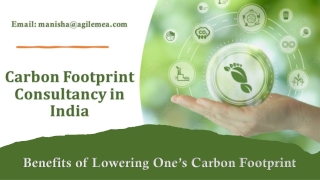 Benefits of Lowering One’s Carbon Footprint