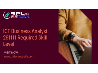 ICT Business Analyst 261111 Required Skill Level