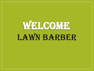 Best Lawn Care in Weston