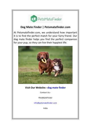 Dog Mate Finder  Petsmatefinder.com