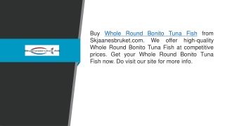 Whole Round Bonito Tuna Fish Skjaanesbruket.com