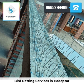 Bird Netting Services in Hadapsar  - Netting Experts