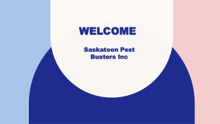 Best Pest Control in LarkHaven