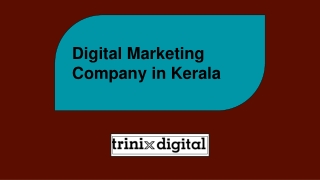 Digital Marketing Company in Kerala