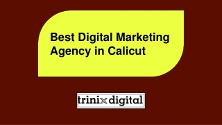 Best Digital Marketing Agency in Calicut