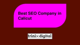 Best SEO Company in Calicut