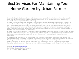 Best Services For Maintaining Your Home Garden by Urban garden