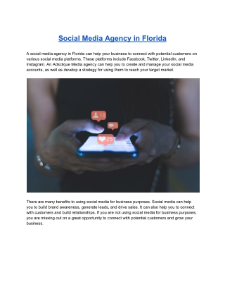 Social Media Agency in Florida