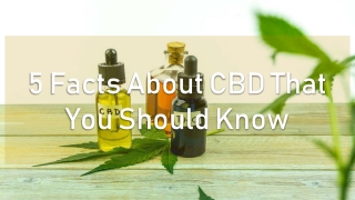 5 Facts About CBD That You Should Know