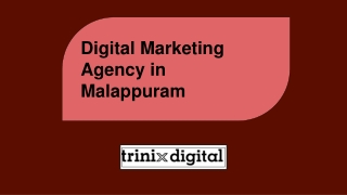 Digital Marketing Agency in Malappuram