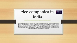 rice companies in india