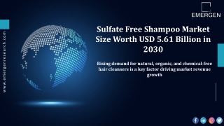 10 Guidelines for Navigating the Sulfate Free Shampoo Market