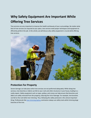 Why Safety Equipment Are Important While Offering Tree Services