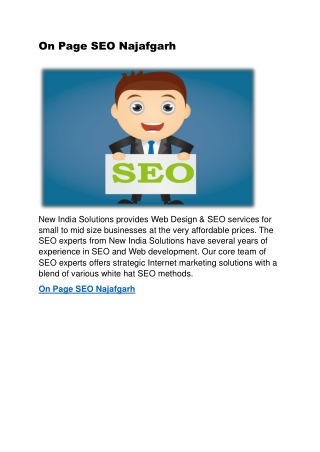 On Page SEO Najafgarh